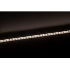 Europole - Bandeau Led 1m LONG FLEX PRO TRIAC 4000K 12W/m 1100lm/m 230VAC