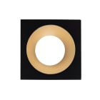 Europole - Collerette LED'UP UNIVERSAL ESTHET+ carrée noir mat/doré fixe