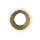 Europole - Collerette LED'UP UNIVERSAL ESTHET+ ASYM ronde blanc mat/doré fixe