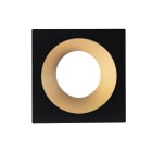 Europole - Collerette LED'UP UNIVERSAL ESTHET+ ASYM carrée noir mat/doré fixe