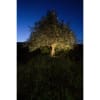 Vignette Photo produit ambiance 11
