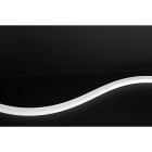 Europole - SHARK TOP VIEW SIDE SM au CM opale souple 3000K SOFT PERF 24VDC