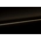 Europole - Bandeau Led 5m VOLTA 3W/m IP20 4000K 400lm/m 24VDC