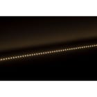 Europole - Bandeau Led 5m VOLTA PRO 4,8W/m IP20 3000K 795lm/m 24VDC