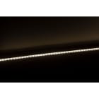 Europole - Bandeau Led 20m ULTRA LONG PRO IP54 4000K 10W/m 1152lm/m 24VDC