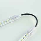 Europole - Connecteur rapide d'interconnexion 300cm REG'LED 24-230