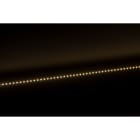 Europole - Bandeau Led SM VOLTA 3W/m IP20 3000K 380lm/m 24VDC