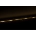 Europole - Bandeau Led 3m VOLTA 3W/m IP20 3000K 380lm/m 24VDC