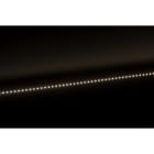Europole - Bandeau Led 10m VOLTA 3W/m IP20 4000K 400lm/m 24VDC
