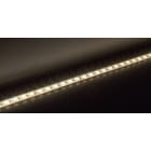 Europole - Bandeau Led 1m VOLTA CHROMA TW IP68 19,5W/m 24VDC