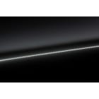 Europole - Bandeau Led SM FISH IP20 7500K 14W/m 1629lm/m 24VDC