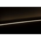 Europole - Bandeau Led SM ULTRA LONG PRO IP54 4000K 10W/m 1152lm/m 24VDC