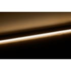 Europole - Bandeau Led SM COB IP67 4000K 8W/m 760lm/m 24VDC
