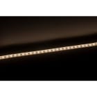 Europole - Bandeau Led 0,2m LONG FLEX PRO TRIAC 3000K 12W/m 1000lm/m 230VAC