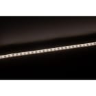 Europole - Bandeau Led 0,2m LONG FLEX PRO TRIAC 4000K 12W/m 1100lm/m 230VAC
