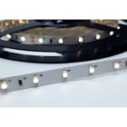 ENGITECHS - LR1801 RUBAN LED 5W, 24V, 300LM, 60LM/W, VERT, IP20, IRC80, 5M