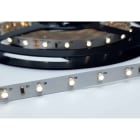 ENGITECHS - LR1801 RUBAN LED 5W, 24V, 500LM, 100LM/W, 6000K, IP20, IRC80, 10M