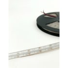 ENGITECHS - LR1902 RUBAN COB 15W, 24V, 450LM, 30LM/W, RGB, IP67, IRC80, 5M