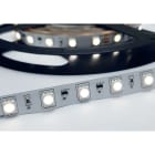 ENGITECHS - LR1991 RUBAN LED 12W, 24V, 950LM, 85LM/W, 6000K, IP20, IRC90, 15M