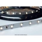 ENGITECHS - LR2891 RUBAN LED 5W, 24V, 500LM, 105LM/W, 6000K, IP65, IRC90, 1CM