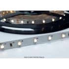 ENGITECHS - LR2891 RUBAN LED 5W, 24V, 500LM, 100LM/W, 4000K, IP65, IRC90, 10M