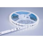 ENGITECHS - LR3300 RUBAN LED 12W, 24V, 1350LM, 110LM/W, 6000K, IP20, IRC80, 1CM