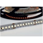 ENGITECHS - LR4103 RUBAN LED 15W, 24V, 1500LM, 100LM/W, BOUCHERIE, IP20, IRC80, 1CM
