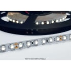 ENGITECHS - LR5200 RUBAN LED 9,6W 12V 6000K IP65 24V 840LM IRC80
