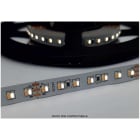 ENGITECHS - LR7300 RUBAN LED 12W 24V 25/60K IP65 24V 560/530LM IRC80