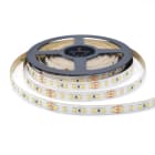 ENGITECHS - LR7390 RUBAN LED 2x6W/M 24V 25/40K IP20 610/705LM IRC90 30M