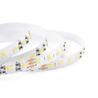 ENGITECHS - RUBAN LED 12W 24V CCT 25/60K IP20 1CM 1100LM IRC90