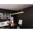 ENGITECHS - PR6005 BOUCHON DE FINITION EN MATIERE PLASTIQUE NOIR VENDU PAR LOT DE 2