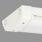 Norka by RIDI - Luminaire apparent BRUNN LED M1500, 6300lm, asymétrique, en PC, IK 08, IP65, 36W