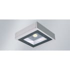 Norka by RIDI - Luminaire TALON m1 1 COB LED 5000K, 2260lm, 15W, PMMA clair