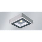 Norka by RIDI - Luminaire TALON m1 1 COB LED 5000K, filtre CDP, 2260lm, 15W, PC clair