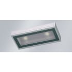 Norka by RIDI - Luminaire TALON m2 2 COB LED 3000K, filtre CDP, 9540lm, 55W, PMMA clair