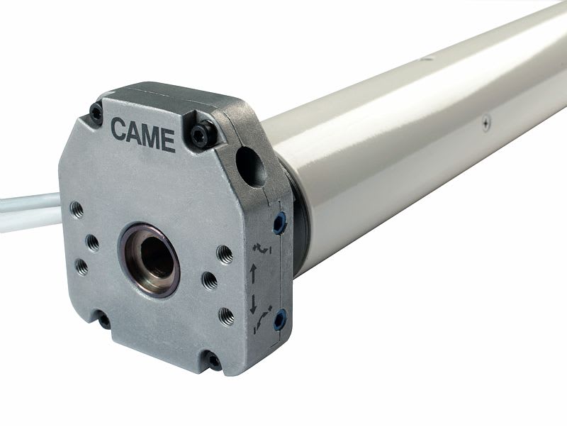 Came - Volet Roulant Moteur Tubulaire MONDRIAN MR6 80Nm 12 tr/min Diam 55