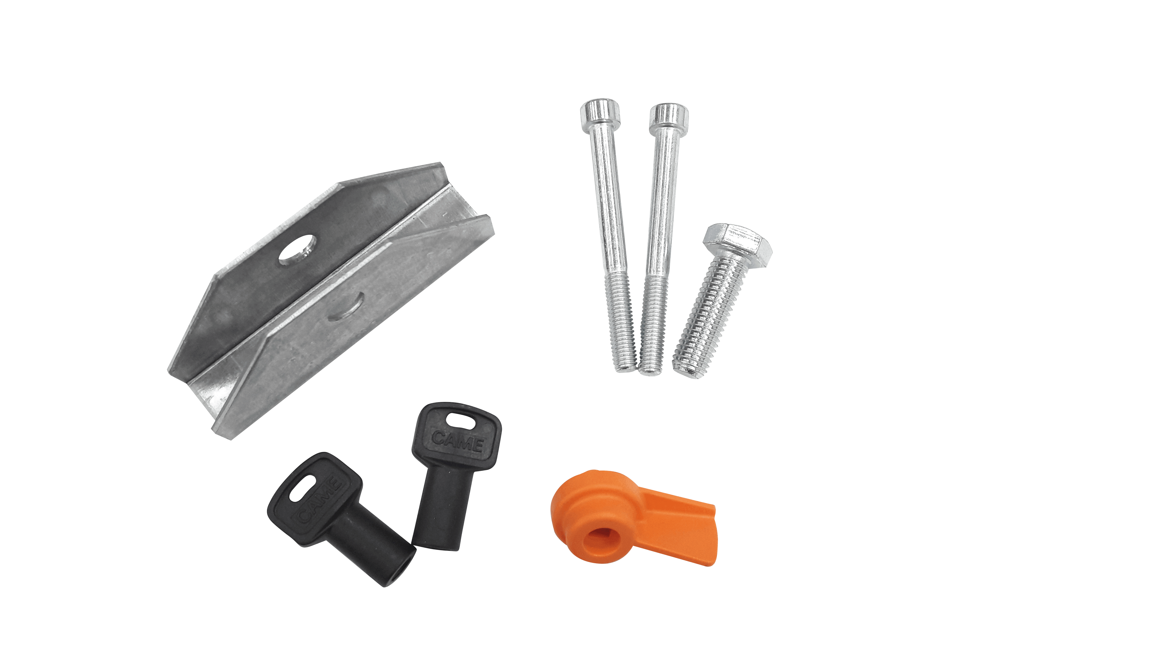 Came - Pièce Détachée Battant Conditionnement Accessoires FAST