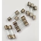 Came - Pièce Détachée Conditionnement 10 fusibles rapides 5A 5x20