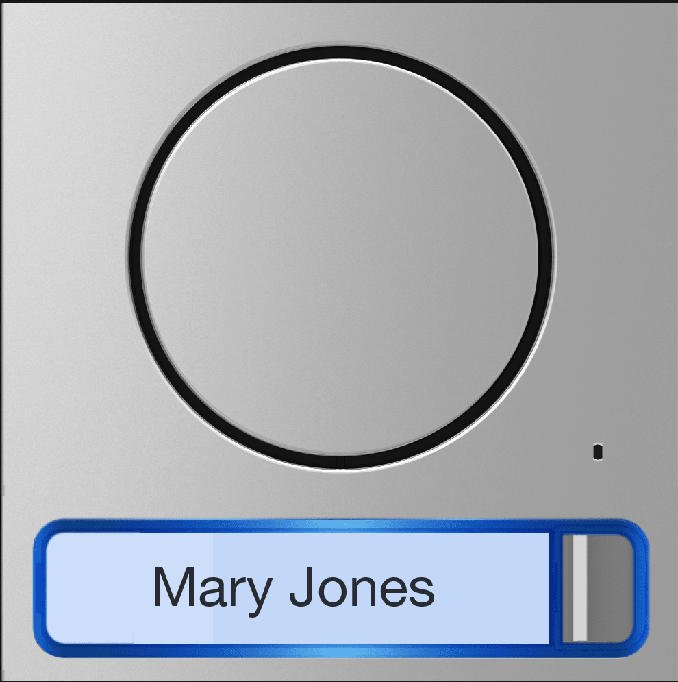 Came - Accessoire Interphonie BPT Façapour module audio lite bouton simple (60020090)