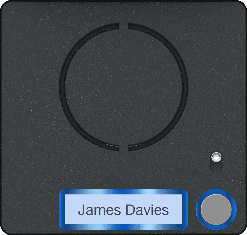 Came - Accessoire Interphonie BPT Façapour module audio Lite bouton simple (60020640)