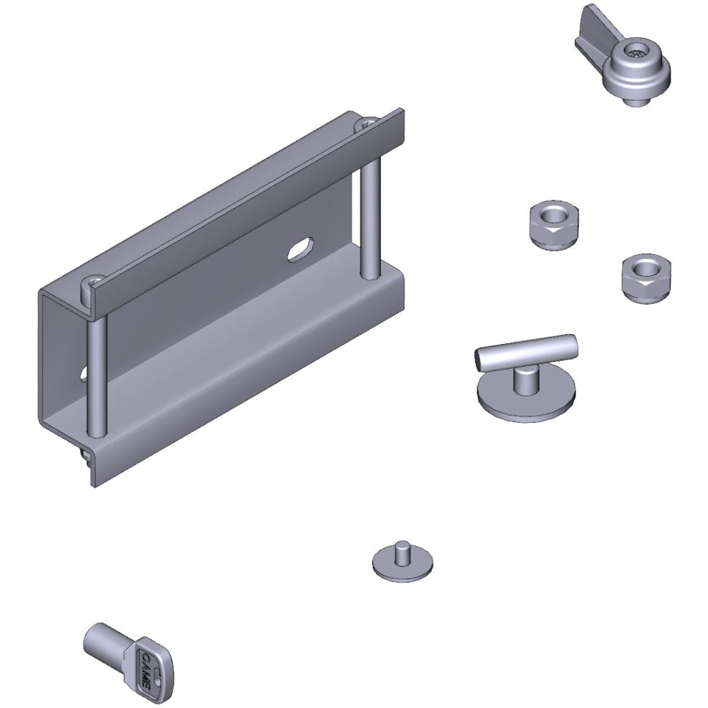Came - Pièce Détachée Battant Conditionnement Accessoires FAST