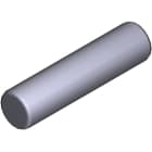 Came - Pièce Détachée Armoire Et Dispositif De Commande Cond. 10 fusibles 315MA 5x20