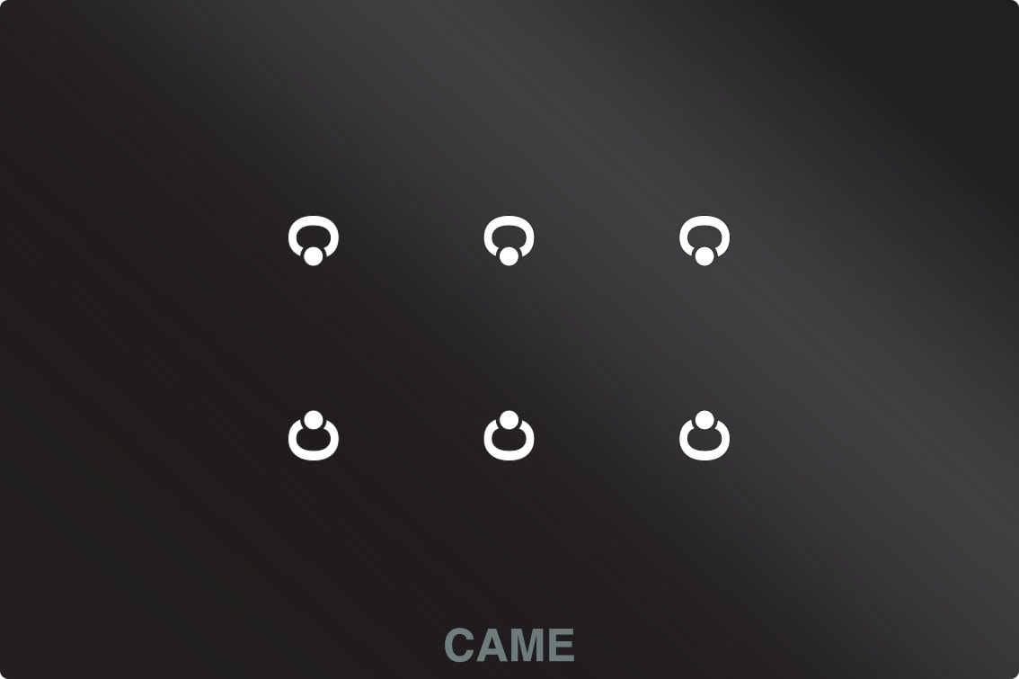 Came - Domotique Module 6 entrées sur plaque noire