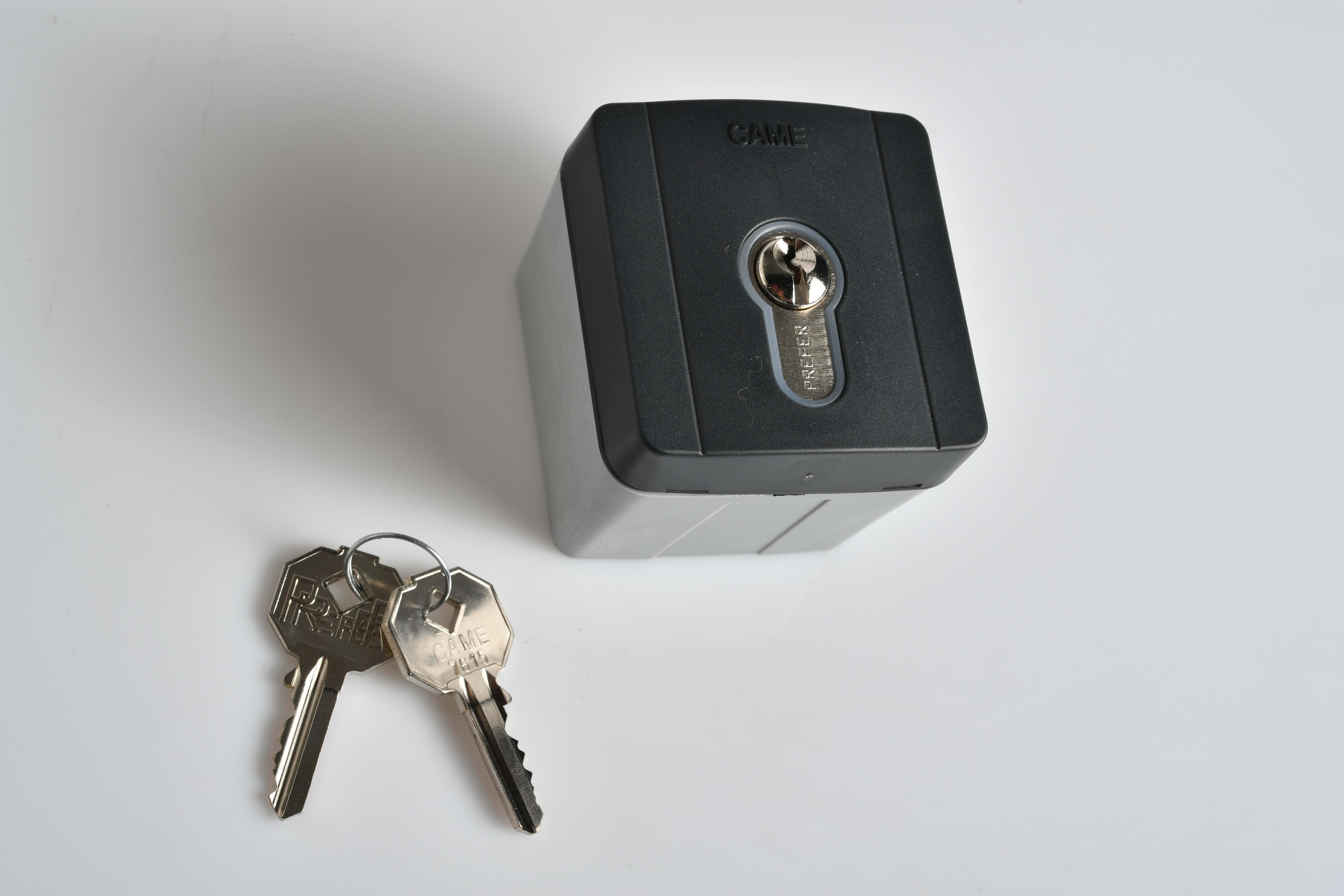 Came - Accessoire Comm. Sélecteur De Commande Sélecteur clé d'extérieur + cylindre DIN