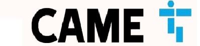 Came - Gamme Annexe M2000-BT Centrale 2000 codes 2 relais 12VCC