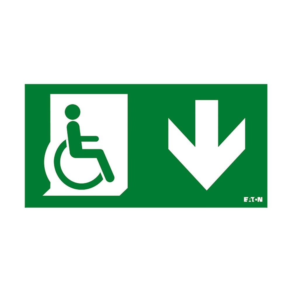 Cooper Securite - Pictogramme PMR pour ULTRALED2 / PLANETE2 ES Flèche Bas