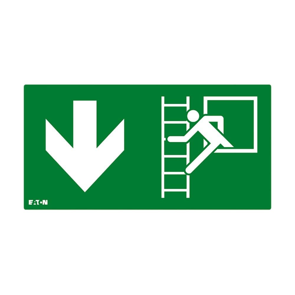 Cooper Securite - Pictogramme ULTRALED2 / PLANETE2 ES avec échelle flèche vers le bas