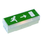 Cooper Securite - BAES évacuation Standard - 45lm/1h - IP42 IK07 - Livré sans pictogrammes