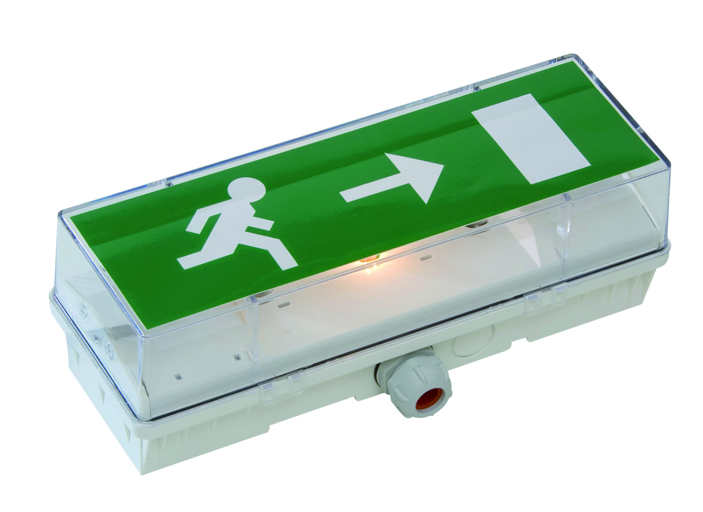 Cooper Securite - BAES évacuation Standard - Incandescent - 45lm/1h - IP66 IK10
